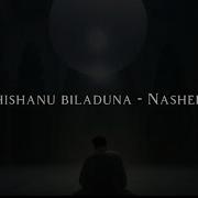 Shishanu Biladuna