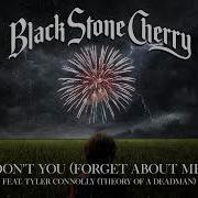 Black Stone Cherry Don T You