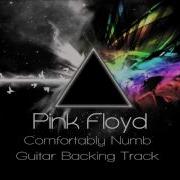 Pink Floyd Comfortably Numb Guitar Backing Track