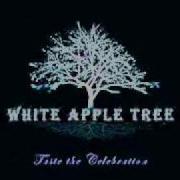 White Apple Tree