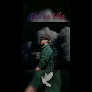 Umar Qori Aka Uka Haqida