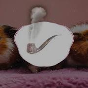 Hamster Dance Bass