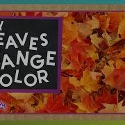 Autumn Leaf Fall