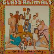 Glass Animals Take A Slice Минус