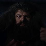 Hagrid