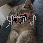 Гербер Уляля Speed Up