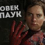 Я Человек Паук Мем