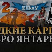 Редкий Карп Старвас Зеркальный Фарм Серебра Какие Бойлы Оз Янтарное Русская Рыбалка 4 32