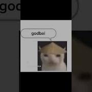 Yoyoyo Meme