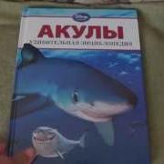 Акулы Удивительная Энциклопедия