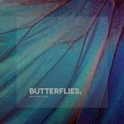 Brejcha Butterflies