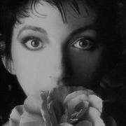 Kate Bush Full Albums