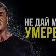 Сильвестр Сталлоне Мотивация