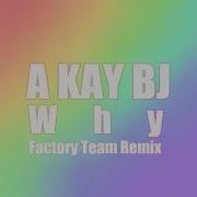 Why Factory Team Remix