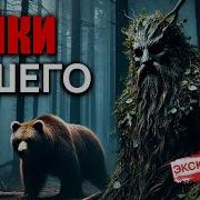 Слушать Истории Про Лешего