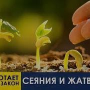 Закон Сеяния И Жатвы