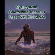 Путь Домой Анастейша Тиллман Глава 532