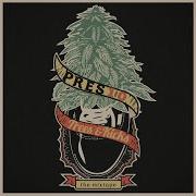Reese Cups Pres10 Speed
