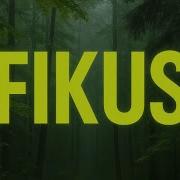 Dj Fikus