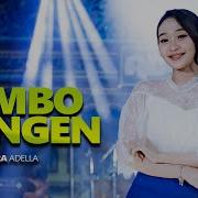 Om Adella 2023