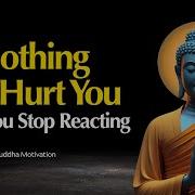 Reaction The Buddha