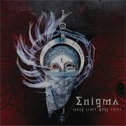 Enigma We Are Nature