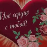 Посмотри Какие Розы Я Их Тебе Дарю