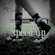 Дикий Speed Up