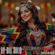 Aydil Aydil Dılo Loo