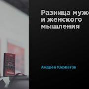 Разница Мужского И Женского Мышления Андрей Курпатов