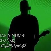 David Gilmour Comfortably Numb Live In Gdańsk