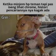 Cella Viral