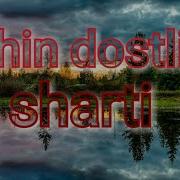 Chin Dostlik