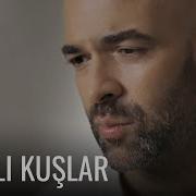 Murat Evgin Yaralı Kuşlar Şarkısı