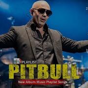 Top 20 Pitbull Song Pitbull Greatest Hits Full Playlist 2019