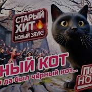 Черный Кот Кавер