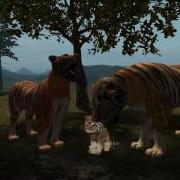 Real Tiger Simulator