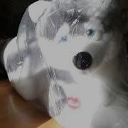 Trudi