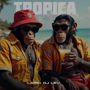 Tropica Arei Dj Lev