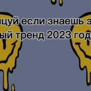 Тренды Из Лайка 2023