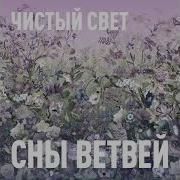 Чистый Свет