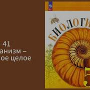 Организм Единое Целое 5 Класс Пасечник