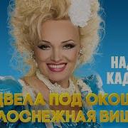 Расцвела Под Окошком Белоснежная Вишня