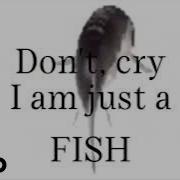 Don T Cry I M Just A Fish