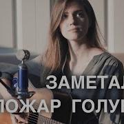 Заметался Пожар Голубой