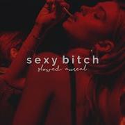 David Guetta Sexy Bitch Slowed Instrumental