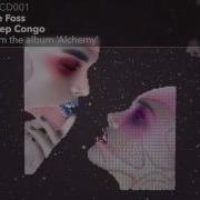 Lee Foss Deep Congo