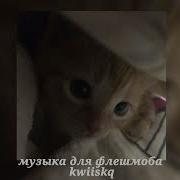 Флешмоб Тик Ток