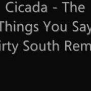 Cicada The Things You Say Dirty South Remix