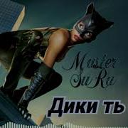 Мастер Сура Дики Дики
